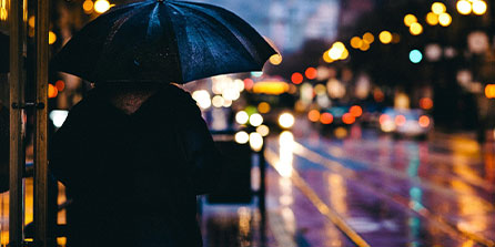 mk体育平台官网-中超第29轮最佳阵容：海港国安泰山各2人，3人书写传奇教练拉莫斯