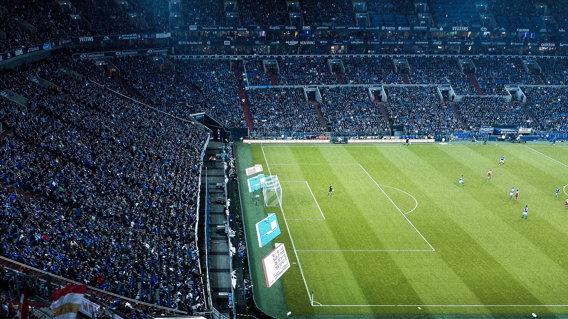 综合体育系“耐力跑配速测试赛” 以配速稳定性作为关键指标